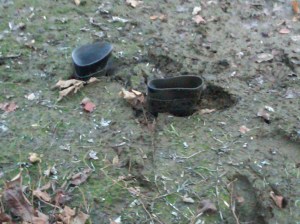 IMG00143-20101113-1627